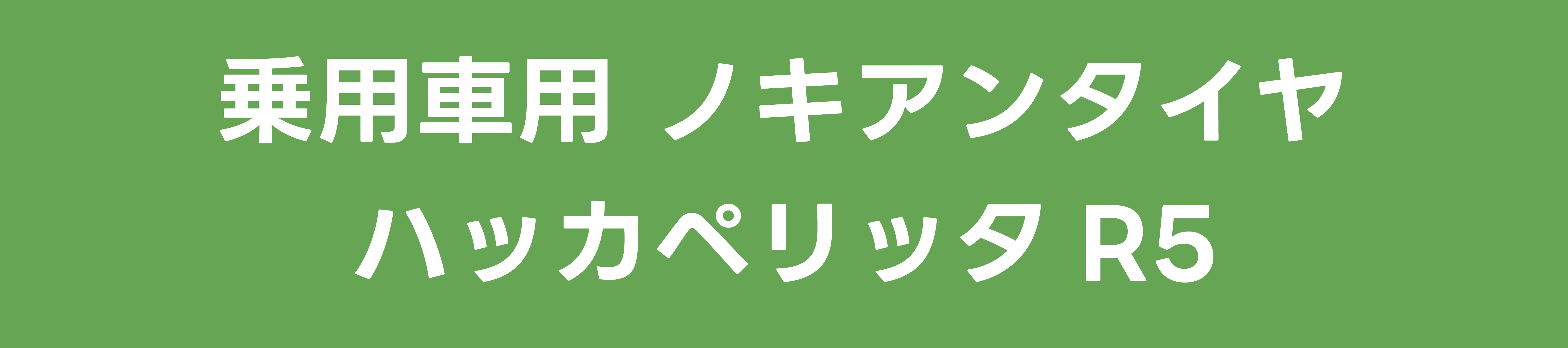 乗用車用 ノキアンタイヤ ハッカペリッタR5