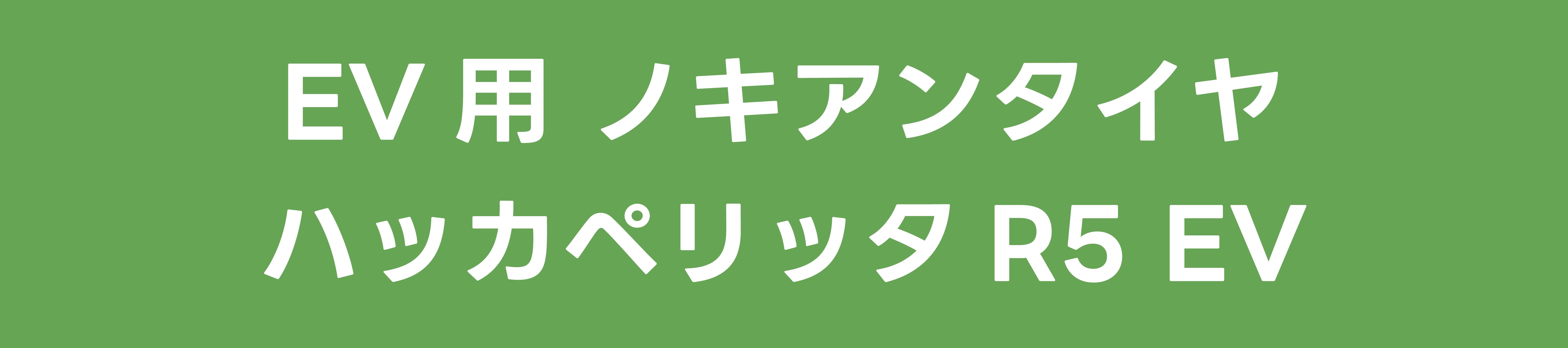 EV用 ノキアンタイヤ ハッカペリッタR5 EV