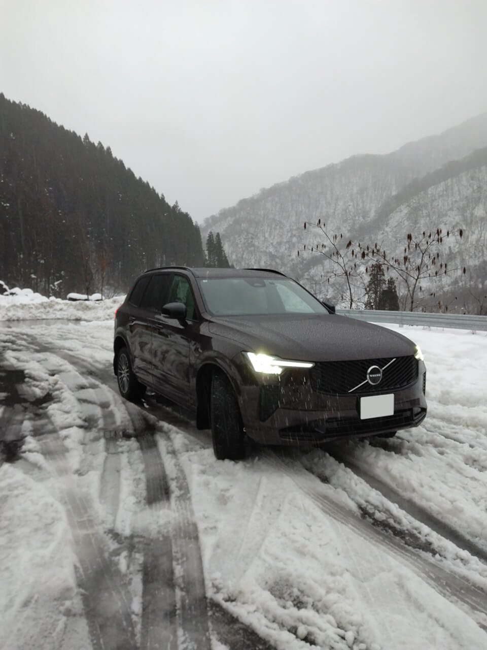 ノキアンタイヤ装着アップ