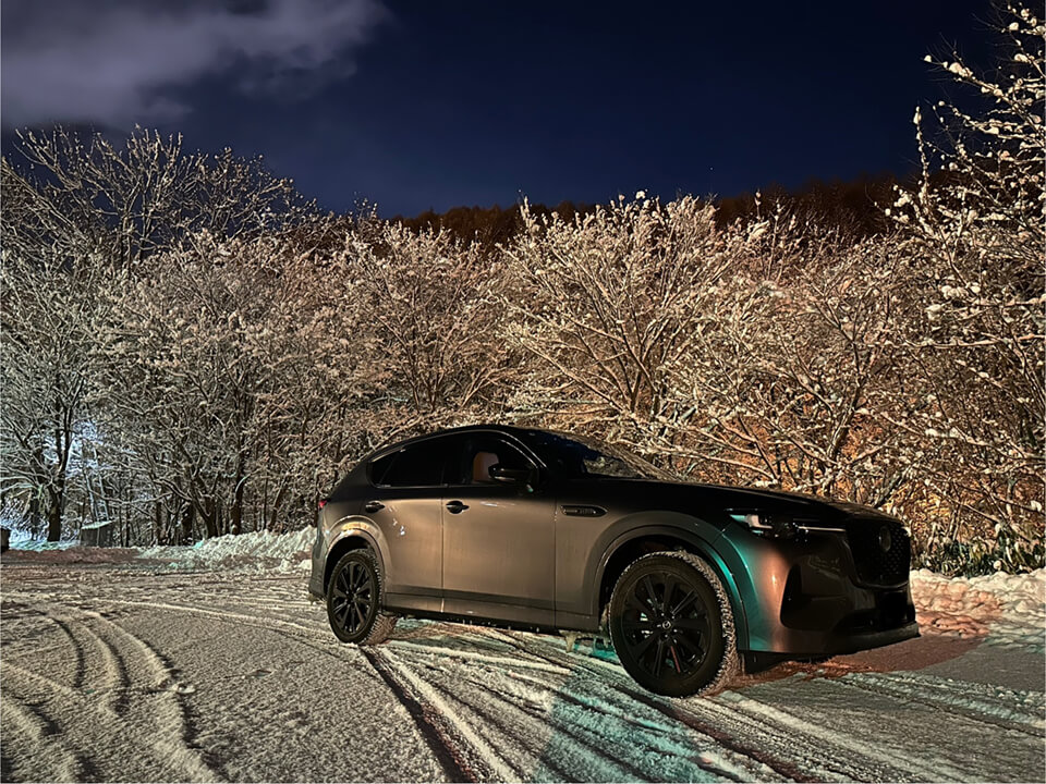 ノキアンタイヤ装着車両