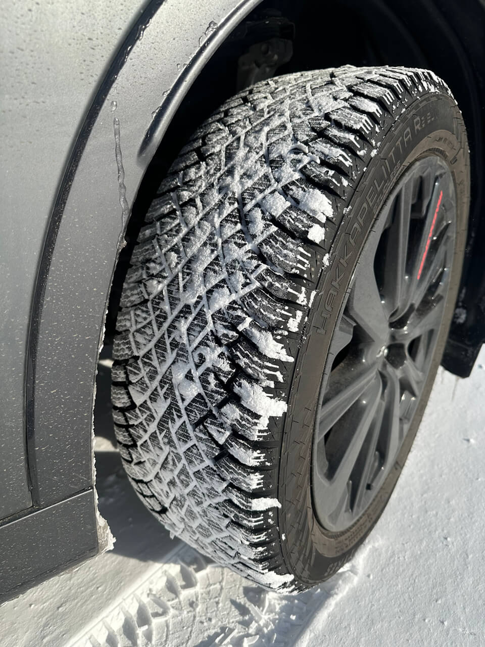 ノキアンタイヤ装着アップ