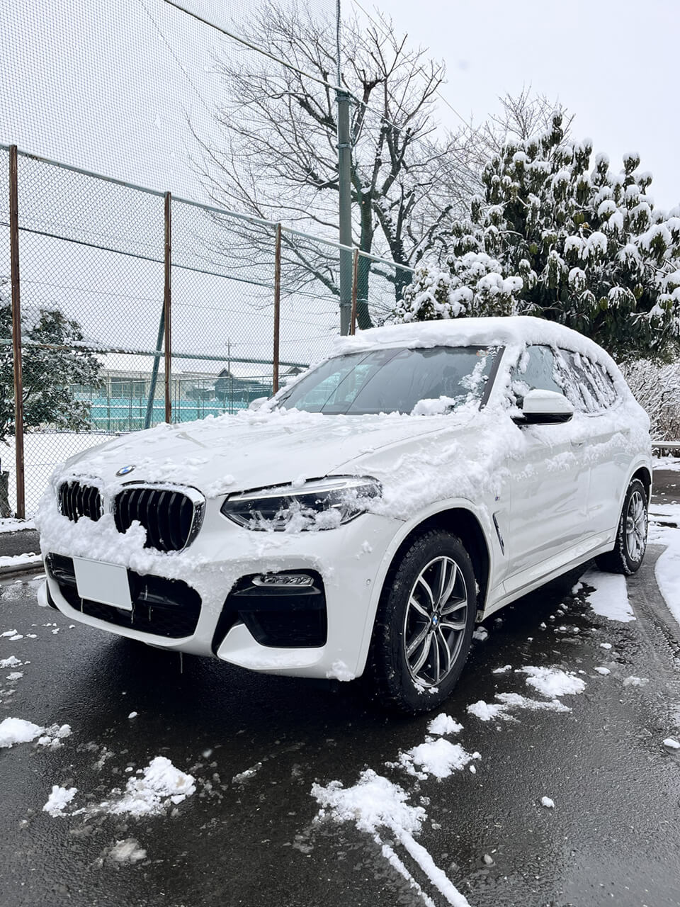 ノキアンタイヤ装着アップ