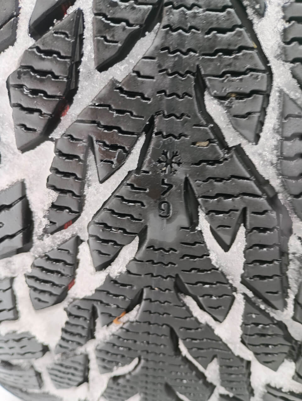 ノキアンタイヤ装着車両