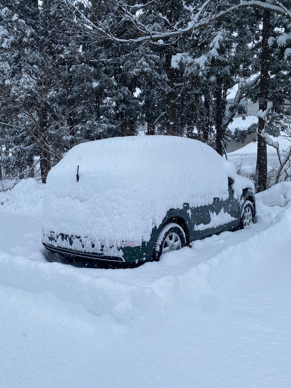ノキアンタイヤ装着車両