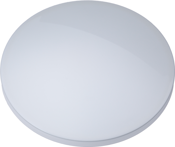 カラーサンプル：グロスホワイト